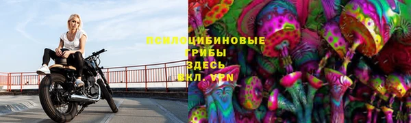 2c-b Абинск