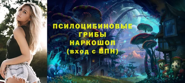 Альфа ПВП Абаза