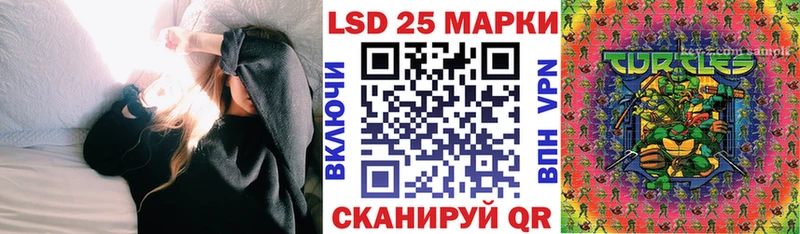 ОМГ ОМГ как войти  цена   Алатырь  Марки N-bome 1,5мг 